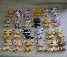 3 peças/lote Littlest Pet Shop brinquedos LPS cabelo curto aleatório gato animais figuras novas comprar usado  Enviando para Brazil