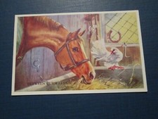Mabel gear postcard for sale  MABLETHORPE
