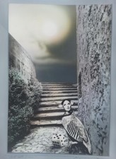 Licinio sacconi canto usato  Voghera