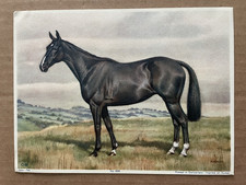 Vintage alderson horse for sale  North Canton