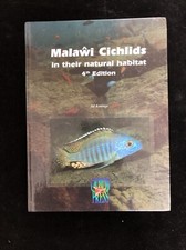 Malawi cichlids natural for sale  EXETER