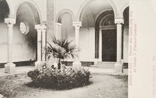 Erba dintorni chiostro usato  Prato