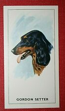 Gordon setter head for sale Gordon setter head for sale  DERBY