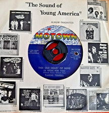 Northern soul tammi for sale  STOCKPORT