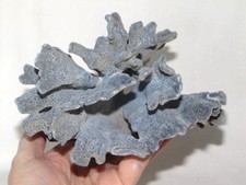 Vintage large natural for sale  San Jose