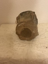 whale vertebrae for sale whale vertebrae for sale Gulf Breeze