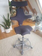 Hag capisco 8107 gebraucht kaufen  München