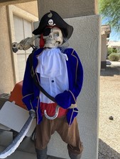 Animated skeleton pirate for sale  Tolleson
