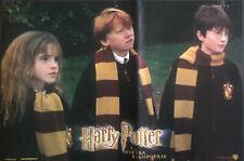 Film harry potter usato  Parma