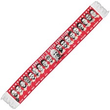 Liverpool scarf team d'occasion  Expédié en Belgium