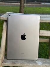 Original apple ipad usato  Zovencedo