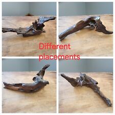 driftwood branches for sale  Waukesha