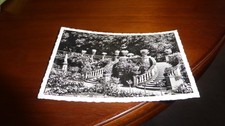 Insel mainau bodensee gebraucht kaufen  Oschatz