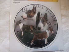 Autocollant motif chien usato  Spedire a Italy