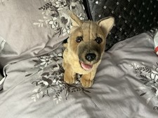 German shepherd alsatian for sale  HOLYWELL