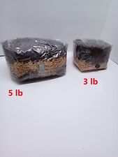Mushroom grow bag d'occasion  Expédié en Belgium