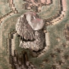 Spaniel dog head for sale  HUNTINGDON