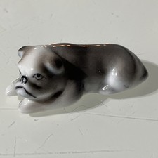 Miniature grey pug for sale  GLOUCESTER