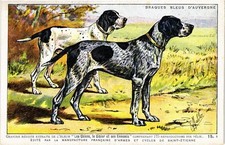 Cpa dogs pair d'occasion  Expédié en Belgium