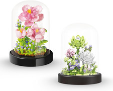 Collezione botanico kit usato  Roma