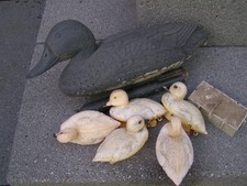 Ente küken teich gebraucht kaufen  Dülmen