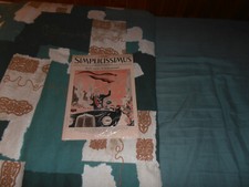 Simplicissimus magazine jahrga gebraucht kaufen  Bann, Hauptstuhl, Horbach