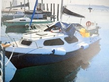 Pilotina con motore usato  Valeggio sul Mincio