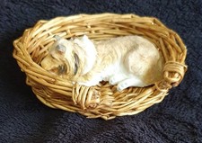 Dozing dogs sheltie for sale  EASTBOURNE