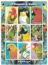 Parrot tropical bird for sale  BOURNEMOUTH