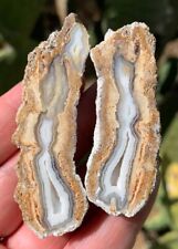 Agatized coral fossil for sale  Tucson