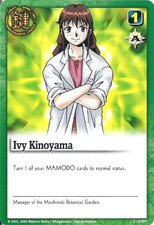 Ivy kinoyama series usato  Italia