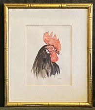 Watercolor ink rooster for sale  USA