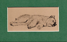 Cecil Aldin ~ Chow Chow ~ Estampado en color genuino vintage 1935 segunda mano  Embacar hacia Argentina