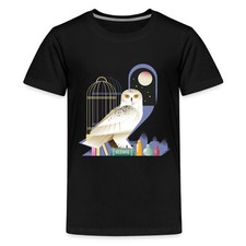 Harry potter eule gebraucht kaufen  Leipzig
