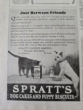 1924 spratt dog for sale  Bridgeport