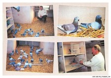 Acwp8 0559 houlme d'occasion  Expédié en Belgium