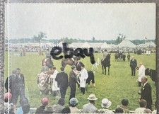 Three counties show for sale  EBBW VALE