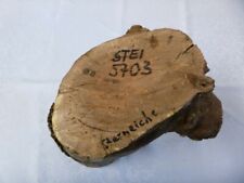 Stein eiche eichenholz gebraucht kaufen  Grasberg