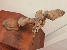 Ancienne taxidermie becasse d'occasion  Rodez