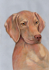 Original coloured pencil for sale  SOUTHSEA