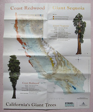 California giant trees for sale  Plymouth