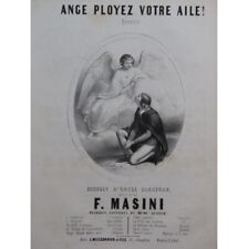 Masini ange ployez d'occasion  Blois