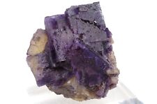 Fluorite denton usa d'occasion  Lille-
