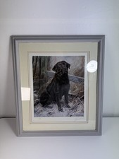 John trickett pal for sale  BIRKENHEAD