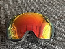 Skibrille alpina ultra gebraucht kaufen  Idstein