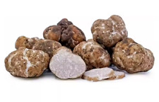 Oregon white truffle for sale  Moscow