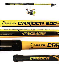 Combo canna mulinello usato  Amelia
