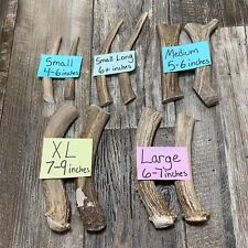 Montana premium deer for sale  Hinsdale
