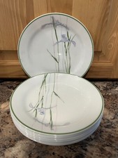 Corelle vitrelle shadow for sale  Rockwood