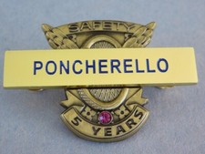 Programa de TV CHiPs - Pino de segurança OFC PONCHERELLO 5 ANOS com placa de identificação de metal 3 postes de volta! comprar usado  Enviando para Brazil